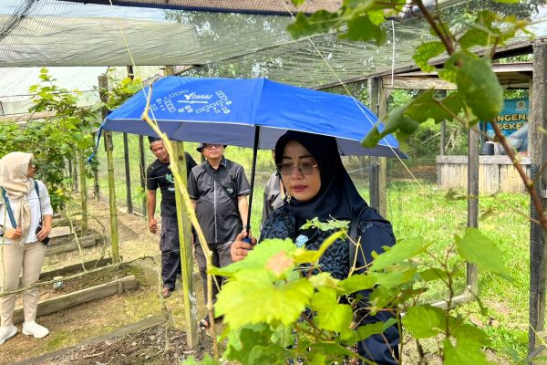 Kadispar Prov Kaltim Bersama Ibu Sekretaris Dispar dan Kabid Pengembangan Destinasi melakukan agenda kegiatan